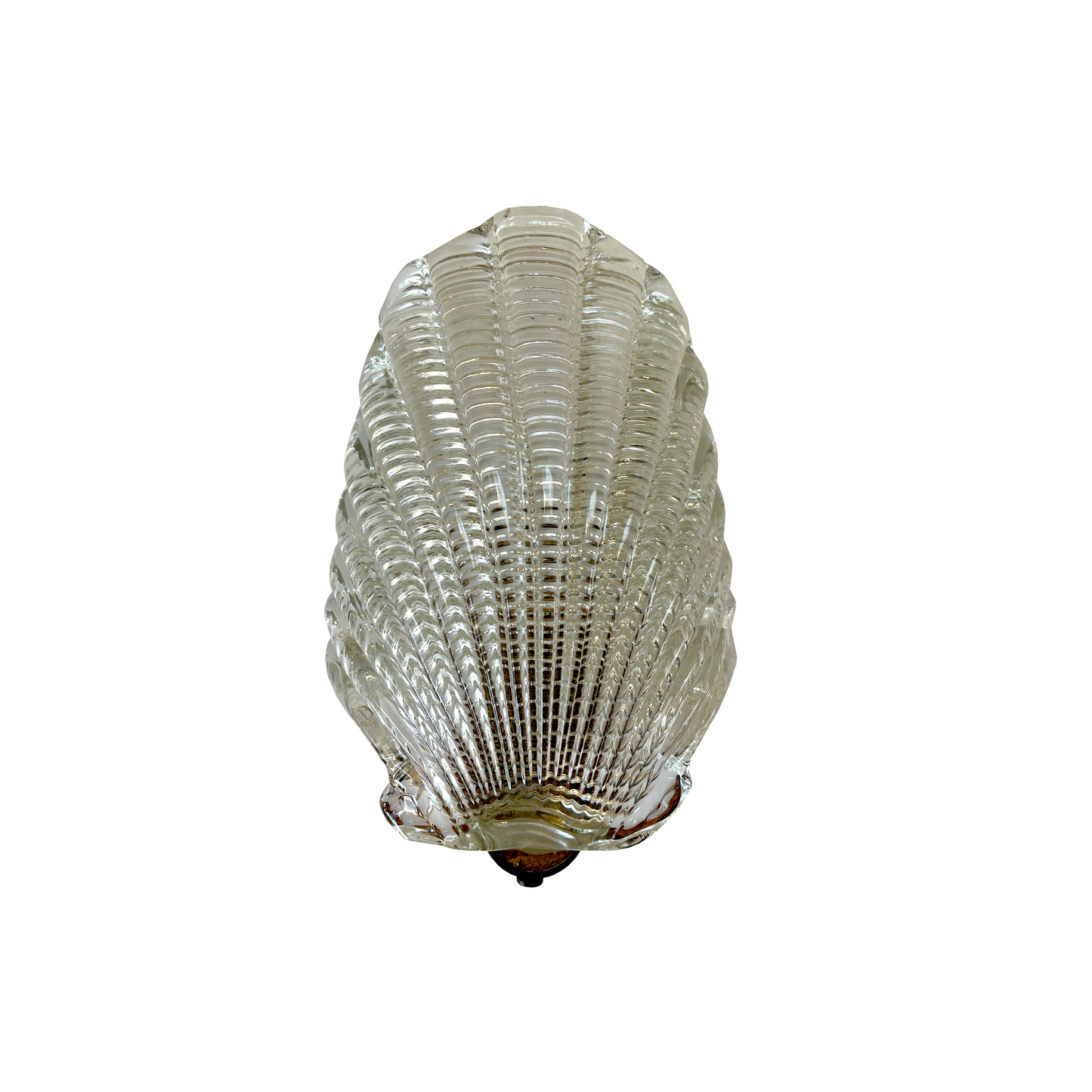 Single Shell Sconce by Archimede Seguso