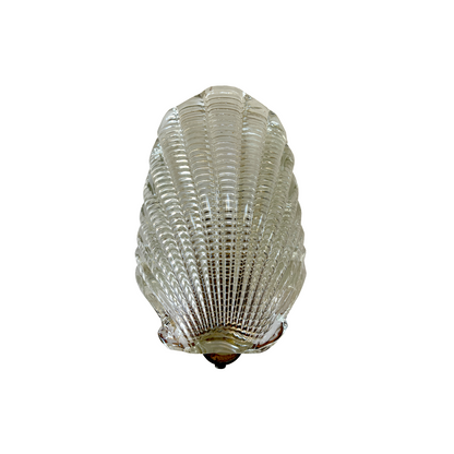 Single Shell Sconce by Archimede Seguso