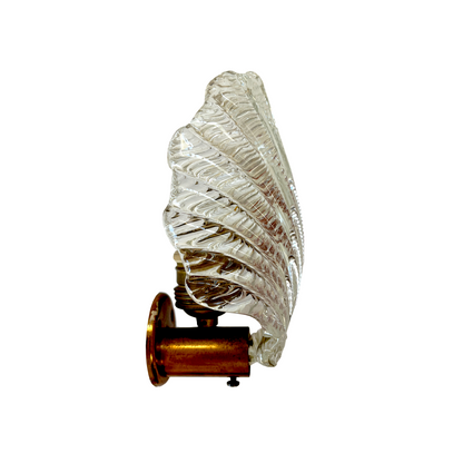 Single Shell Sconce by Archimede Seguso