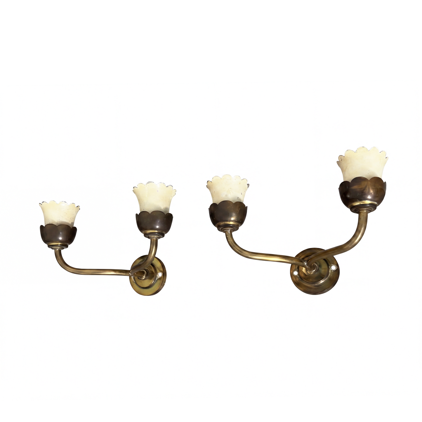 Pair of Italian brass wall sconces with dual arms and scalloped tulip shades, 1950s